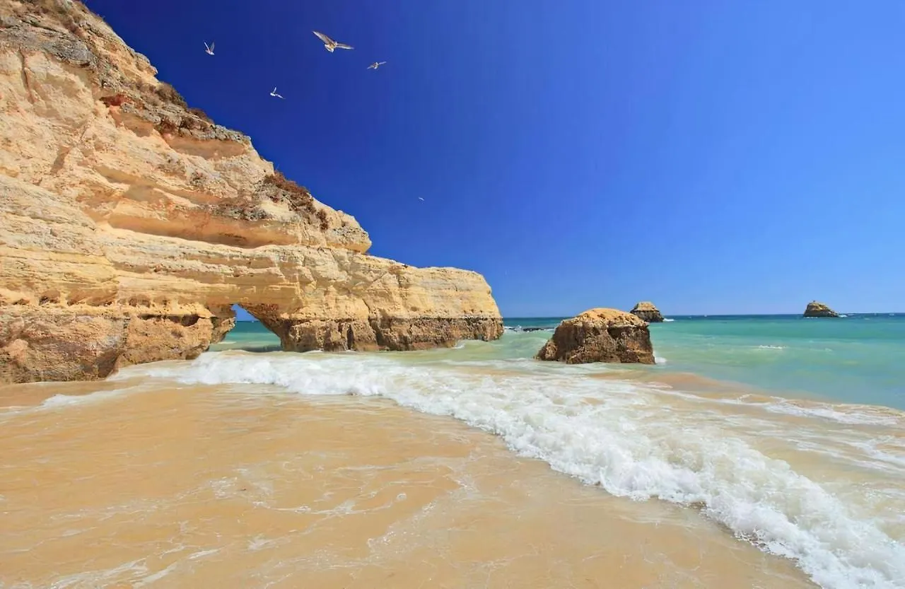 Rocha & Mar Apartamentos - Praia Da Rocha Portimao 0*,  Portugal